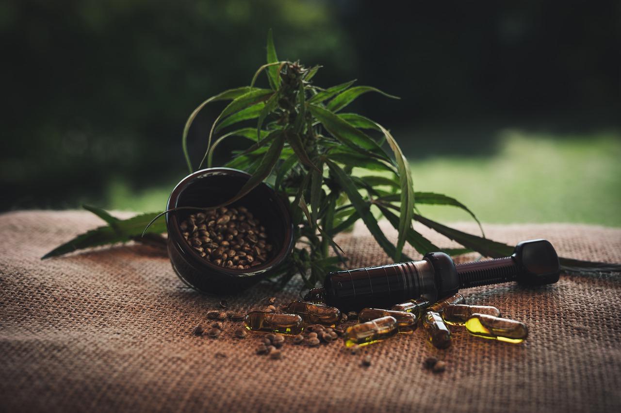 CBD Trends